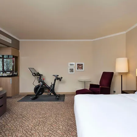Hotel Hilton