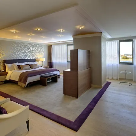 Hilton מלון מיינץ