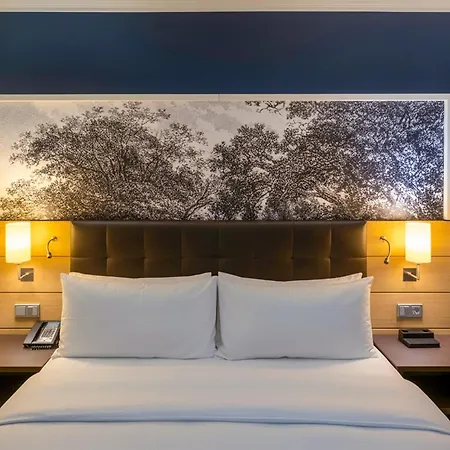 Hilton Hotel
