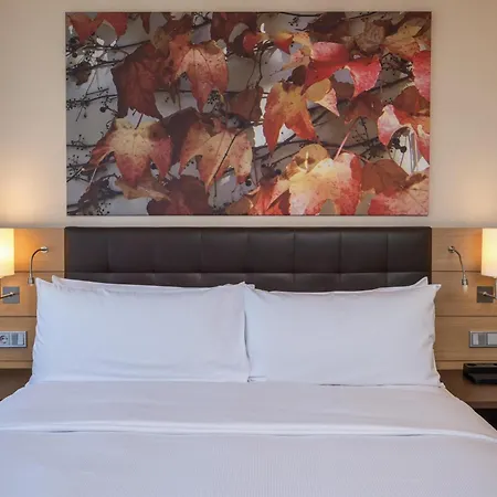 Hilton 5* Maguncia