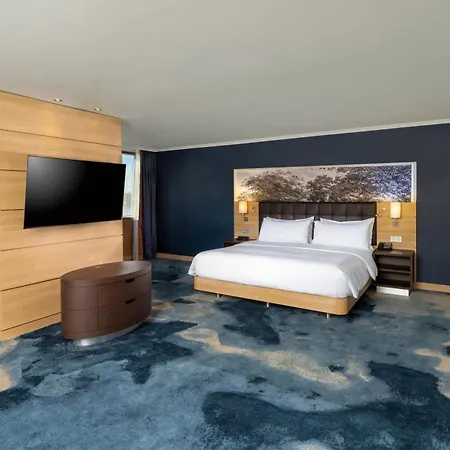 Hilton Hotel 5*
