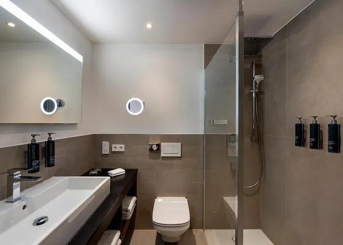 Hilton 5* מיינץ